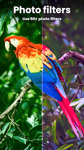 Enhance it Fix your photos Premium APK 3.4.2 5