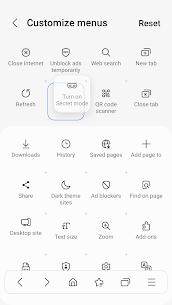 Samsung Internet Browser APK 11.0.00.49 5