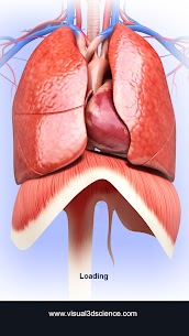 Respiratory System Anatomy Unlocked APK 1.8 1