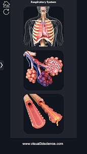 Respiratory System Anatomy Unlocked APK 1.8 2