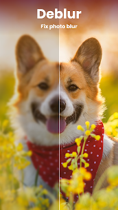 Enhance it Fix your photos Premium APK 3.4.2 2