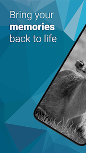 Colorize it Colorize Black and White Photos Premium APK 1.0.16 1