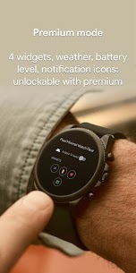 Pixel Minimal Watch Face Premium APK 2.5.3 2