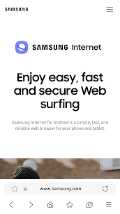 Samsung Internet Browser APK 11.0.00.49 1
