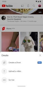 YouTube APK 14.43.55 1