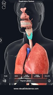 Respiratory System Anatomy Unlocked APK 1.8 4
