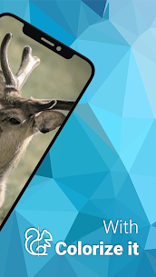 Colorize it Colorize Black and White Photos Premium APK 1.0.16 2
