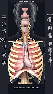 Respiratory System Anatomy Unlocked APK 1.8 3