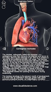 Respiratory System Anatomy Unlocked APK 1.8 5